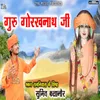 About Guru Gorakhnath Ji Non Stop Bhajan Song